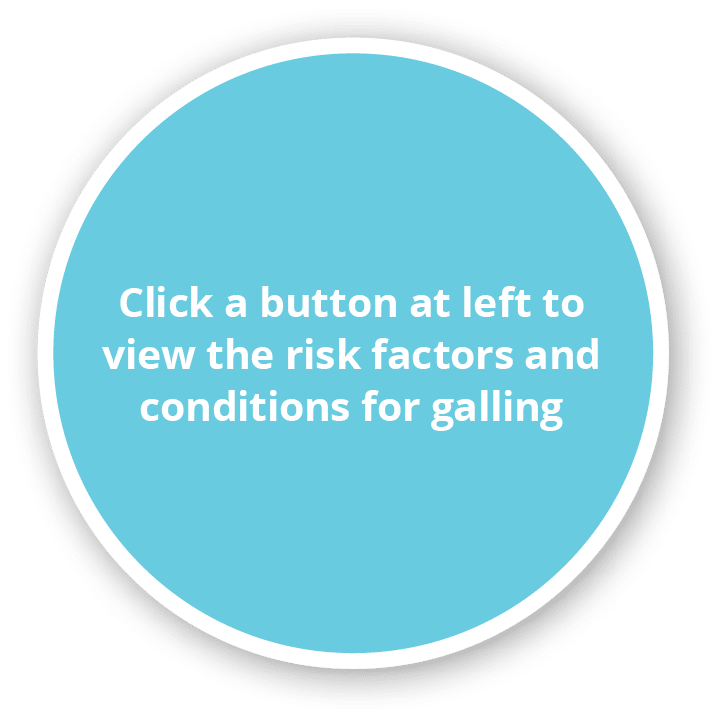 Click a button at left to view the risk factors and conditions for galling