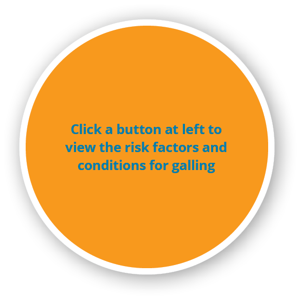 Click a button at left to view the risk factors and conditions for galling